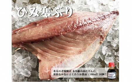 [先行予約] ひみ寒ぶり 8〜10kg台物 半身[角安商店]※配送エリア限定※