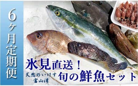 天然のいけす 富山湾 氷見漁港直送! 旬の鮮魚セット 定期便6ヶ月連続お届け 鮮魚詰め合わせ 旬の鮮魚 定期便 新鮮魚介 セット 全6回定期便 氷見漁港より直送 海鮮 鮮魚セット 魚介 旬の海鮮 定期便 富山湾鮮魚 定期便