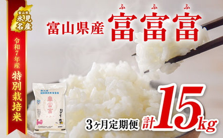 q3ցrߘa7NY xRYʍ͔| xxxTkg |ӂӂ xxx  3  15kg    X xR  Y ʍ͔| 5kg GRt@[}[ ʌ Ԍ v~A