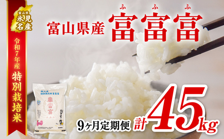 q9ցr ߘa7NY xRY ʍ͔| xxx Tkg@bӂӂ xxx  X  STkg    X xR  Y ʍ͔| 5kg GRt@[}[ ʌ Ԍ