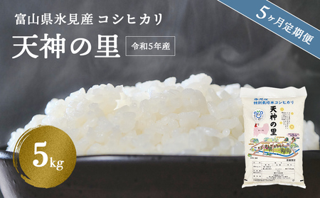 〈5ヶ月定期便〉 令和5年産富山県産特別栽培米コシヒカリ 天神の里５kg