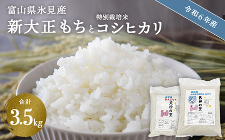 [令和6年産]富山県氷見産 新大正もち(1.5kg)と特別栽培米コシヒカリ"天神の里"(2kg)のセット[10月以降順次発送] 