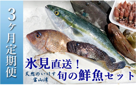 天然のいけす 富山湾 氷見漁港直送! 旬の鮮魚セット 定期便3ヶ月連続お届け
