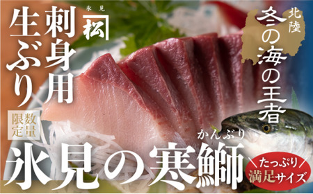 【魚問屋直送】天然「生ひみ寒ぶり」刺身用 約800g 