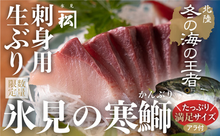 [先行予約][魚問屋直送]天然「生ひみ寒ぶり」刺身用 約400g ブリ 刺身用柵 お刺身 鰤 ひみ寒ぶり お刺身 生 冷蔵配送 3〜4人前 炙り 鰤 しゃぶしゃぶ 鰤大根 ブリ 照り焼きにも 氷見の鮮魚 厳選 産地直送 