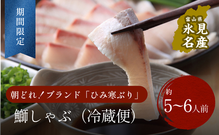 [先行予約]ひみ寒ぶり ぶりしゃぶ用 5〜6人前 [配送地域限定][[鰤 ぶり ブリ 鰤 ブリ]]