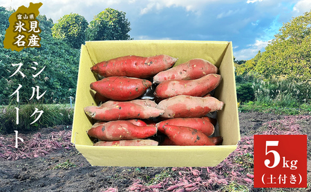 ys\zVNXC[gxRY ܂ 5kg y2025N12ȍ~z xR Xs Tc}C RL VNXC[g Ȃ߂炩