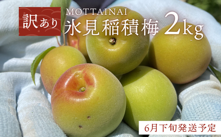 【訳あり】【先行予約】MOTTAINAI 氷見稲積梅 2kg ＜6月下旬発送予定＞ 富山県 氷見市 青梅 果物 訳アリ