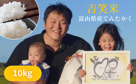 令和7年産 富山県産 てんたかく 10kg 吉笑米   | 富山県 氷見市 天高く 米 白米 予約 精米