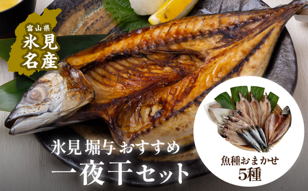 氷見 堀与 おすすめ一夜干5種セット 富山県 氷見市 干物 セット 詰め合わせ 一夜干し 一夜干し 一夜干し