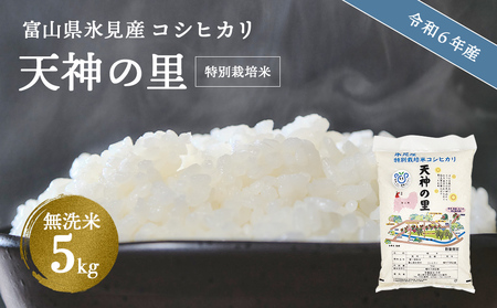 令和6年産 富山県産 特別栽培米 コシヒカリ 天神の里 5kg 無洗米 | お米 白米 精米 氷見 富山 米 国産 特別栽培 5kg エコファーマー 数量限定 こしひかり 安心 環境にやさしい 農家直送 無洗米