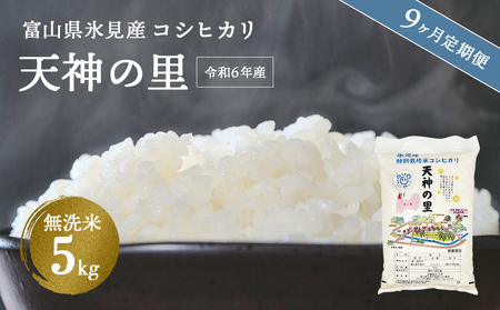 [9ヶ月定期便] 令和6年産 富山県産 特別栽培米コシヒカリ 天神の里5kg 無洗米 