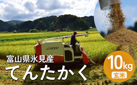 ＜先行予約＞ 令和7年産 富山県氷見産 てんたかく玄米 10kg ＜2025年9月以降順次発送＞ 富山県 氷見市 米 てんたかく