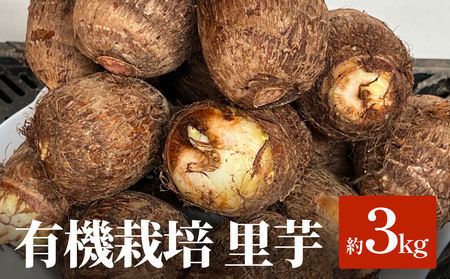 L@͔|  Rkg xR Xs TgC 