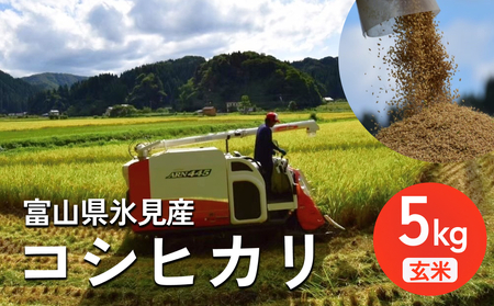 ＜先行予約＞ 令和7年産 富山県氷見産 コシヒカリ 玄米 5kg ＜2025年10月中旬以降順次発送＞ 富山県 氷見市 米 こしひかり