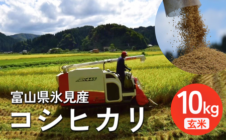 ＜先行予約＞ 令和7年産 富山県氷見産 コシヒカリ 玄米 10kg ＜2025年10月中旬以降順次発送＞ 富山県 氷見市 米 こしひかり