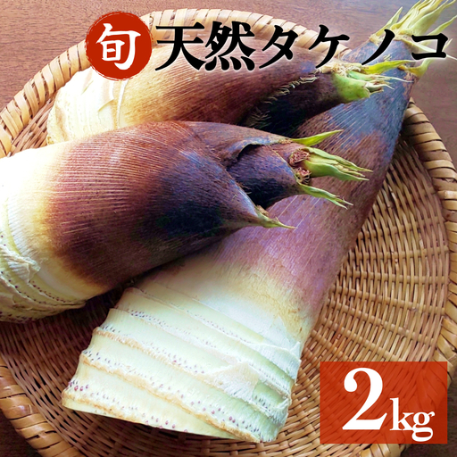  天然タケノコ 2kg 朝掘り 採れたて筍発送 富山県産 ＜農薬・化学肥料・除草剤不使用＞