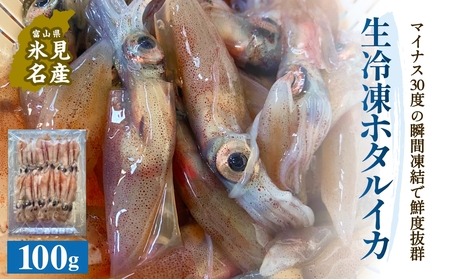 生冷凍ホタルイカ(凍眠) 100g 富山県 氷見市 ほたるいか しゃぶしゃぶ 冷凍