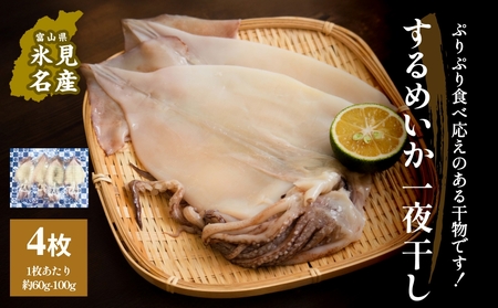 するめいか一夜干し 4枚 富山県 氷見市 イカ 干物