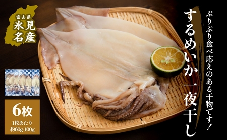 するめいか一夜干し 6枚 富山県 氷見市 イカ 干物