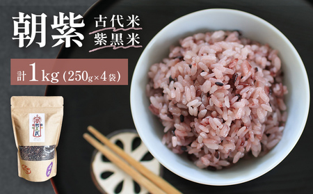 iÑ/ āj250g×4i͔|ԒA_Ew엿sgpjy̓Vz