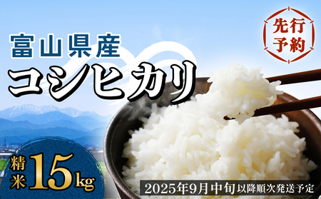 s\񁄕xRY RVqJ 15kg  2025N9{ȍ~\聄 xR  Xs RVqJ