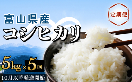 y5ցzxRY RVqJ 5kg 10ȍ~Jn xR Xs  RVqJ 