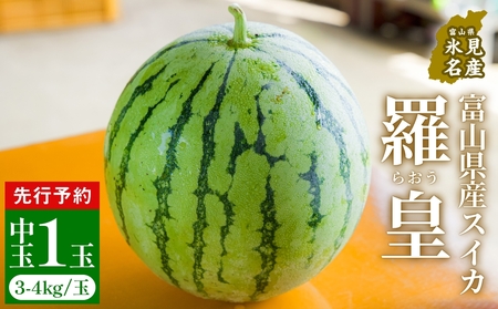 ys\zxRYXCJ c  1 i3-4kg/ʁj y2026N8ȍ~z XCJ  ʕ t[c xR Xs