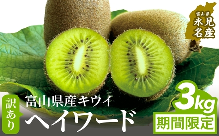 【先行予約】 訳ありヘイワード3kg（小玉、異形、擦り傷、日焼け） 【2025年12月中旬以降順次発送】 数量限定 希少 国産 甘い 氷見キウイランド 富山県 氷見市