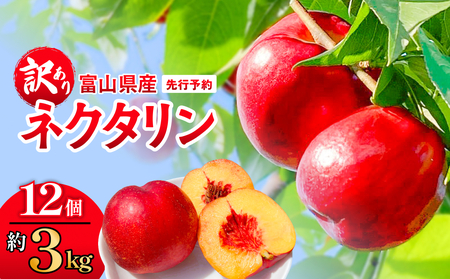 ys\zy󂠂zxRY lN^ 12 i3kgj 2026N8{ȍ~