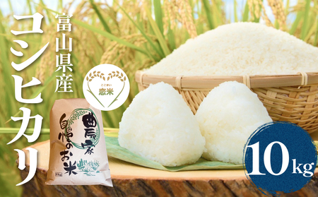 [天日干し]氷見産コシヒカリ はざかけ米 10kg 令和7年産 恋米(ここまい)ー天風穂(あまほ)ー