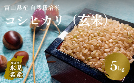 āߘa7NYxRYR͔|ăRVqJ5kg