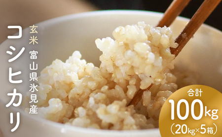 �y���āz�R�V�q�J�� 100kg�i20kg×5�j�x�R���X���Y  �x�R�� �X���s �� �R�V�q�J��