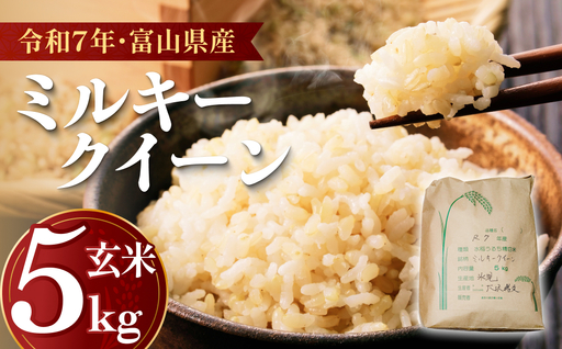 令和7年産 富山県産 ミルキークイーン はさがけ米 玄米 5kg 富山県 氷見市 米 ブランド米