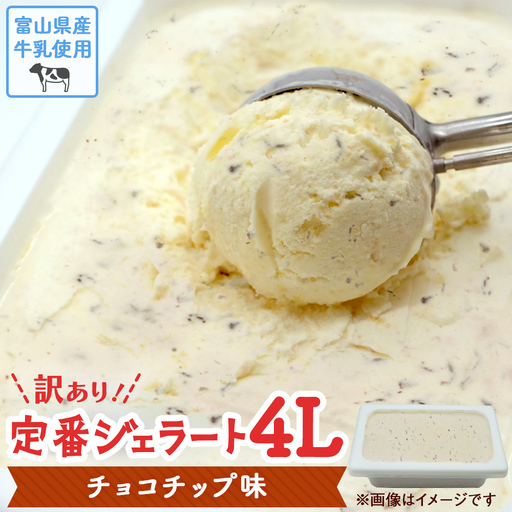【訳あり】 ジェラート 4L チョコチップ　| チョコチップ アイス ジェラート