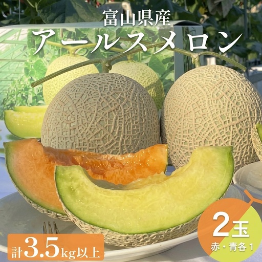 〈先行予約〉 アールスメロン 2個セット 計3.5kg以上（青肉１個、赤肉１個） ＜2026年6月下旬以降発送＞ 【贈答用】【秀品】