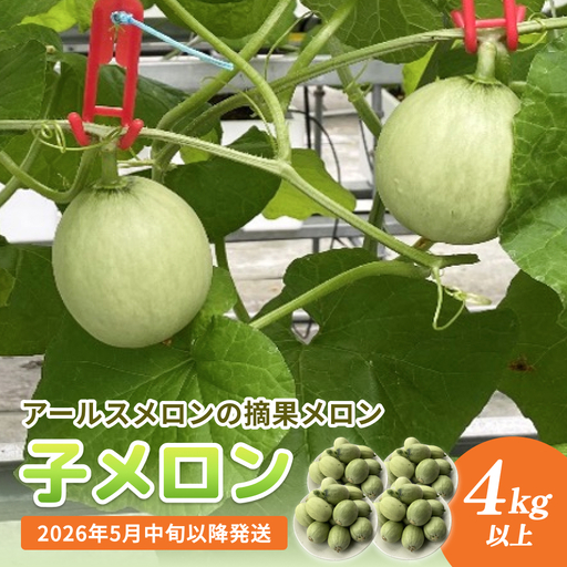 [先行予約] 子メロン (アールスメロンの摘果メロン) 4kg以上 [2026年5月中旬以降発送][お漬物に][お料理に]