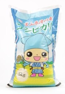 滑川産コシヒカリ(精米5kg)[通年発送][A-007005]