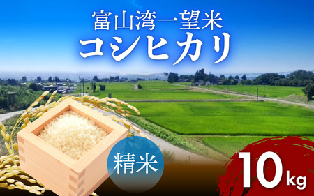 【先行予約】新米 富山湾一望米　コシヒカリ 精米 【容量10kg】【2025年10月より順次発送】 