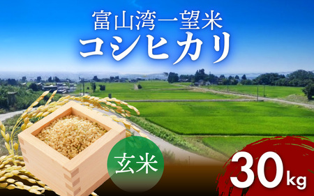 【先行予約】新米 富山湾一望米　コシヒカリ 玄米 【容量30kg】【2025年10月より順次発送】