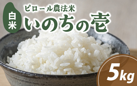 [先行予約]富山県滑川市産 弱アルカリ性米 「ピロール農法米 いのちの壱」精米5kg[2025年10月中旬より順次発送] / 産地直送 袋 ブランド米 お米 米 ご飯 ごはん 富山 滑川市 アグリめぐみ 農家直送 おこめ