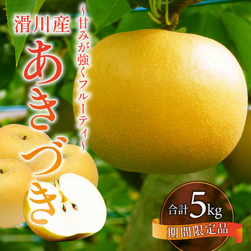 【先行予約】梨（あきづき）5kg　8玉～12玉 [A-014003] ※2026年9月中旬以降順次発送予定 / なし フルーツ 期間限定 送料無料　滑川市 富山県フルーツ 果物 くだもの なし 滑川市 新山果樹園