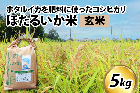 [訳あり]ほたるいか米(玄米5kg)[通年発送]