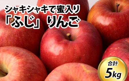 [先行予約]りんご[令和6年11月中旬以降順次発送]