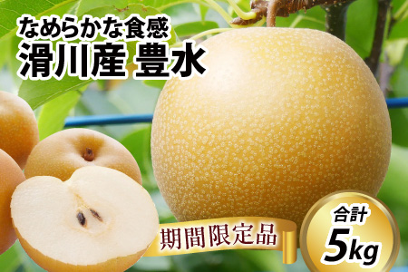 【先行予約】梨（豊水）※2026年9月上旬以降順次発送予定 / フルーツ 果物 くだもの なし 滑川市 新山果樹園 [A-014002]
