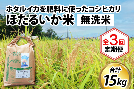 [訳あり]ほたるいか米(無洗米5kg)×3回 計15kg[3ヶ月定期便]