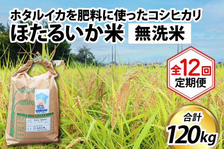 �y�󂠂�z�ق��邢���āi������10kg�j×12�� �v120kg�y12��������ցz