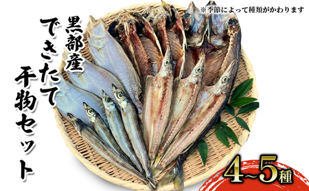 できたて干物セット 4〜5種 おまかせ 富山県黒部市/産地直送 旬 魚介 魚 さかな 詰め合わせ ひもの 富山湾 名水 産地直送 生地