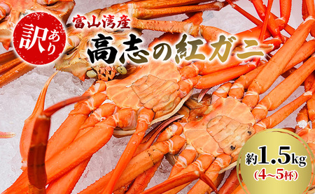 [訳あり]富山湾産カニ 高志の紅ガニ お買い得 約1.5kg(4〜5杯)富山県黒部市/紅ズワイ カニ 漁師直販 恵比須丸