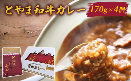 とやま和牛カレー170g×4個セット/富山県黒部市 保存食 非常食 送料無料 レトルトカレー カントリーキッチン